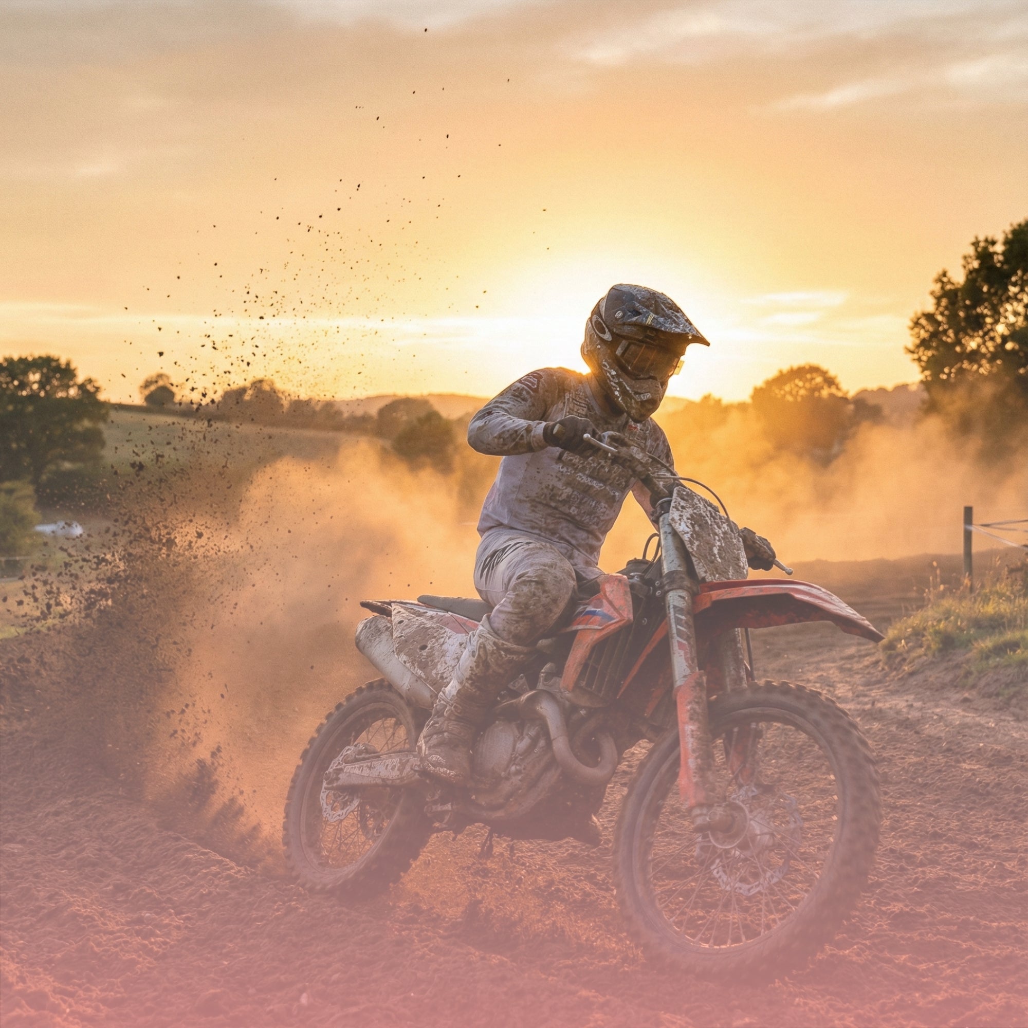 collection-banner-image