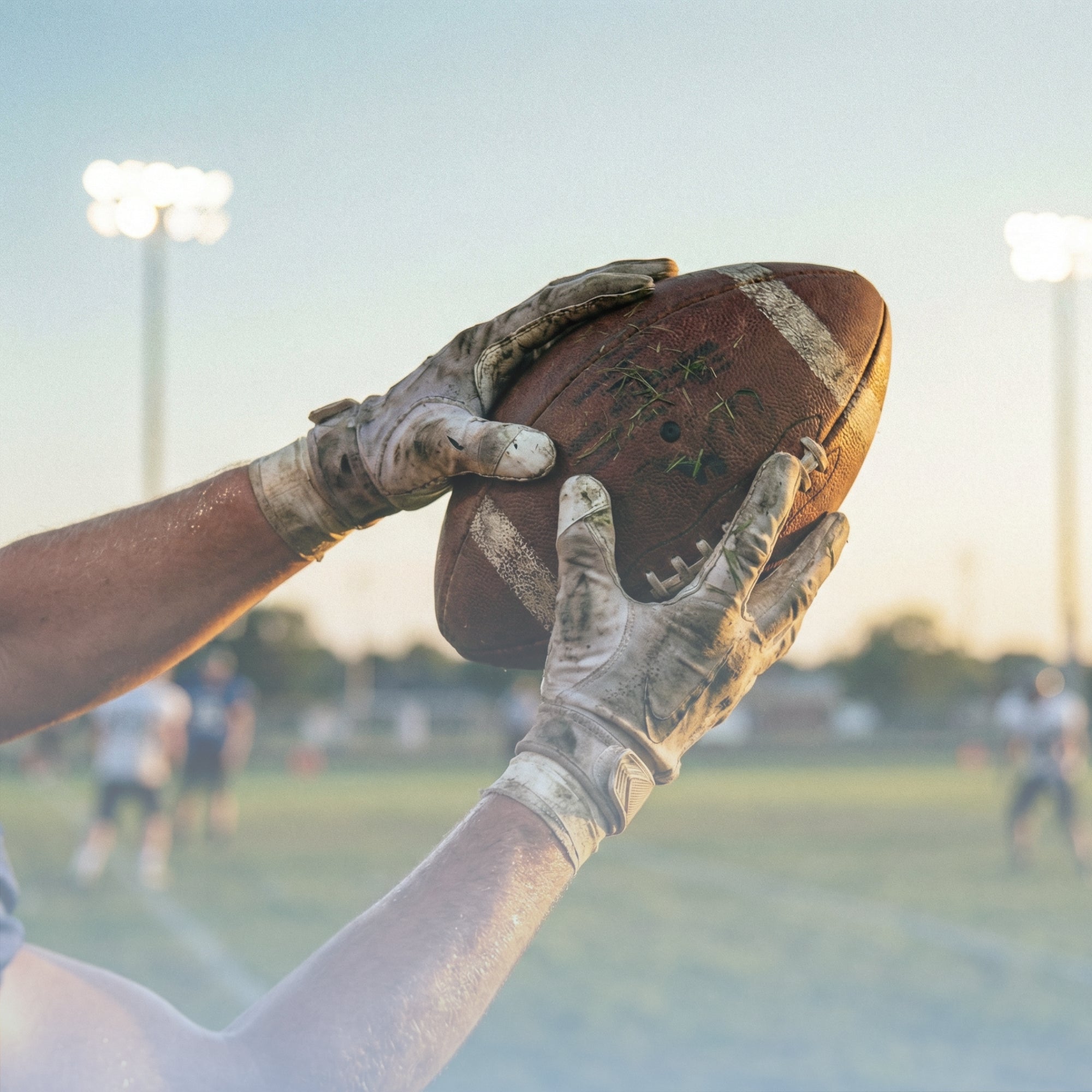 collection-banner-image