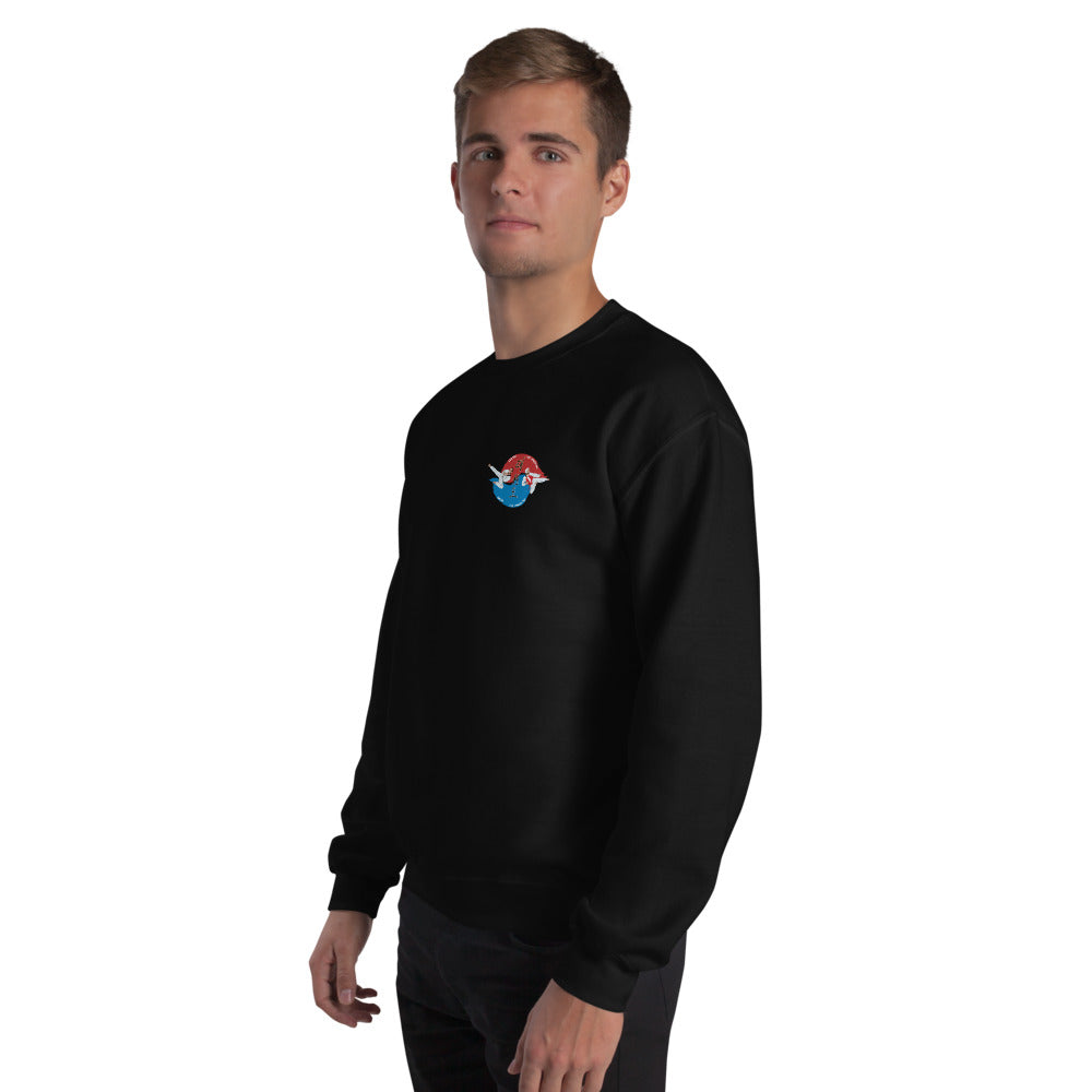 Sweat col rond unisexe Ozoir Taekwondo, Noir, porté par un homme, vue trois quarts