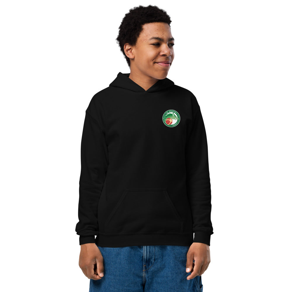 Sweat classique à capuche enfant US ARGENTON BASKET — Noir, vue de face