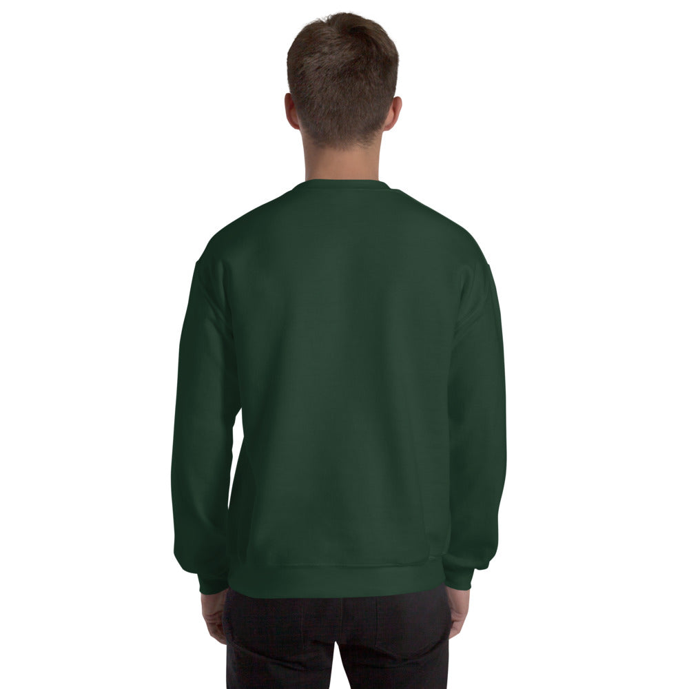 Sweat classique unisexe (39,90) US ARGENTON BASKET — Vert Sapin, vue de dos